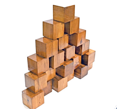 Sculpture intitulée "Unblock 2" par Sumit Ratta, Œuvre d'art originale, Bois