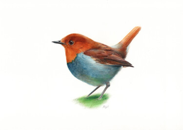 European Robin - Bird Portrait (Photorealistic Drawing) Dessin intitulée "European Robin - Bi…" par Daria Maier, Œuvre d'art originale, Stylo à bille