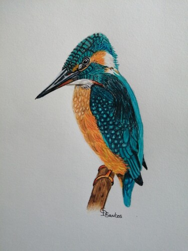 Tekening getiteld "martin pêcheur" door Christine Dos Santos, Origineel Kunstwerk, Potlood