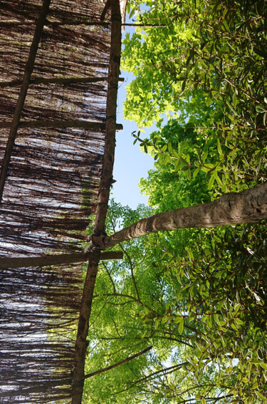 Photographie intitulée "Part of nature" par Pascal Carro (ORAK), Œuvre d'art originale, Photographie numérique