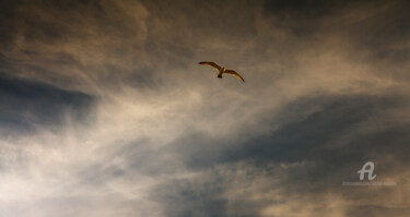 Photography titled "Survol" by Michel Babkine, Original Artwork, Digital Photography