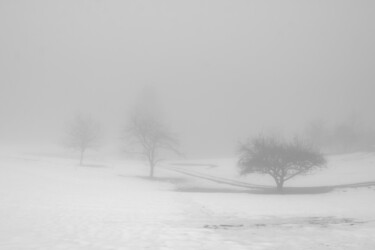 Fotografie mit dem Titel "triptyque" von Christophe Plousey, Original-Kunstwerk, Nicht bearbeitete Fotografie