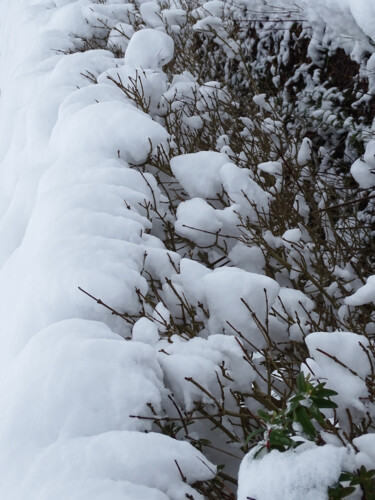 Photographie intitulée "Snow covered nature…" par Pascal Carro (ORAK), Œuvre d'art originale, Photographie non manipulée