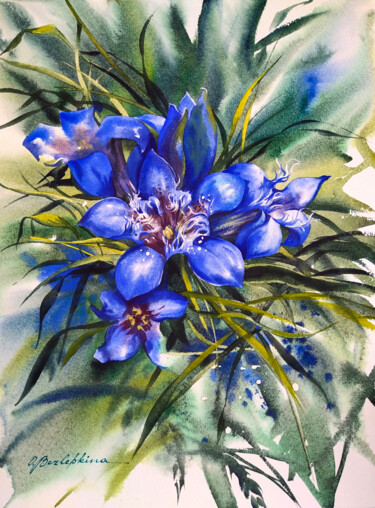 Gentiana - blue mountain flower Peinture intitulée "Gentiana - blue mou…" par Olga Bezlepkina, Œuvre d'art originale, Aquarelle