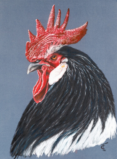 Rysunek zatytułowany „Chantecler - Poular…” autorstwa Pastels Et Velours, Oryginalna praca, Pastel Zamontowany na artwork_ca…