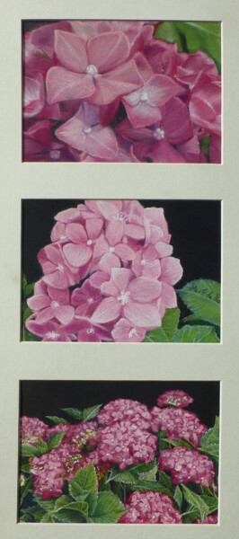 trio d'hortensias Σχέδιο με τίτλο "trio d'hortensias" από Marie-Françoise Le Néen, Αυθεντικά έργα τέχνης, Παστέλ