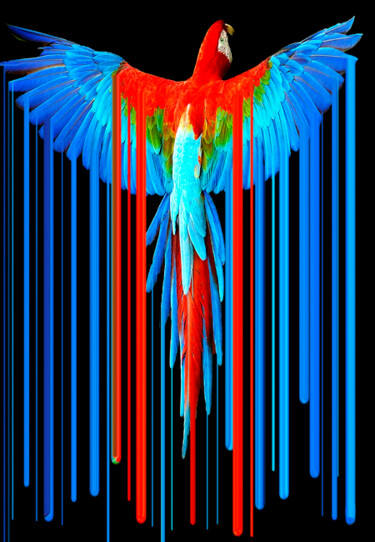 Rubino T-Shirt Tee Tees T Shirt Parrot Ζωγραφική με τίτλο "Rubino T-Shirt Tee…" από Tony Rubino, Αυθεντικά έργα τέχνης, Ακρυλικό Τοποθετήθηκε στο Ξύλινο φορείο σκε…