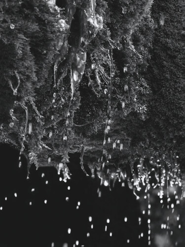 印花与版画 标题为“Lichenas Aqua” 由Michèle Dumas (Michèle Frédérique), 原创艺术品, 雕刻