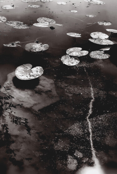 印花与版画 标题为“Lapidis Aquae” 由Michèle Dumas (Michèle Frédérique), 原创艺术品, 雕刻