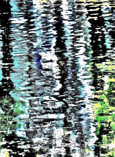 Central Park Spring - Pond Reflections 100a3 Photography titled "Central Park Spring…" by Ken Lerner, Original Artwork, Digital Photography