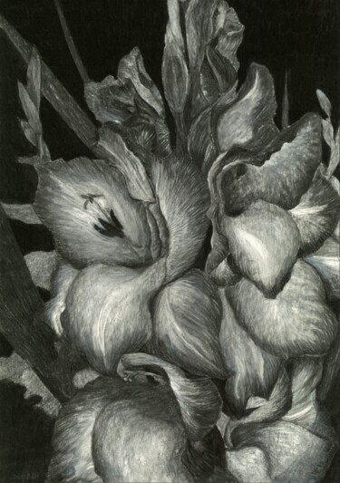 图画 标题为“GLADIOLAS III” 由Nives Palmić, 原创艺术品, 木炭