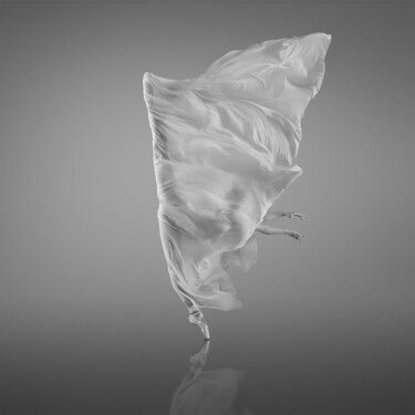 摄影 标题为“Arabesque” 由Yevgeniy Repiashenko, 原创艺术品, 数字打印