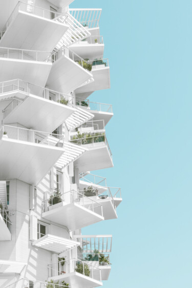 l'arbre blanc ( edition of 11 ) Photographie intitulée "l'arbre blanc ( edi…" par Emmanuel Passeleu, Œuvre d'art originale, Photographie numérique Monté sur…