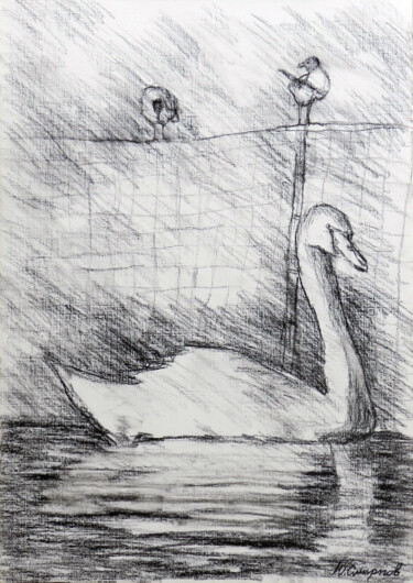 图画 标题为“Swan and two birds” 由Yury Smirnov, 原创艺术品, 木炭
