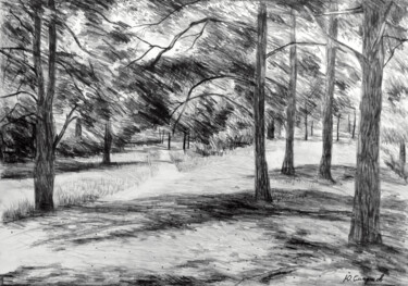 Drawing titled "Sormovsky park" by Yury Smirnov, Original Artwork, Graphite
