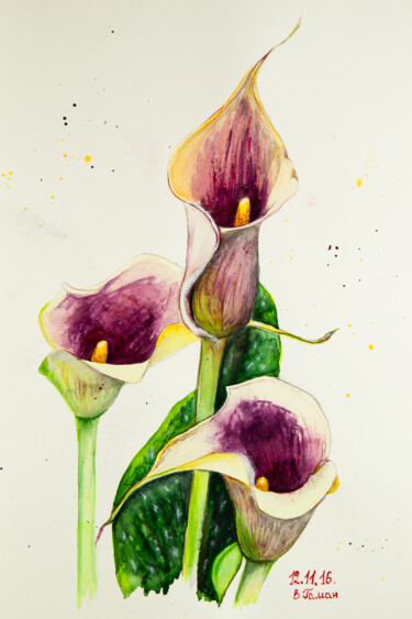 Pink callas on a white background. Watercolor botanical pain 제목이 "Pink callas on a wh…"인 미술작품 Виктория Гаман로, 원작, 수채화