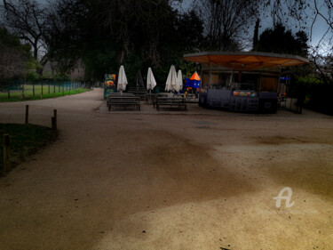 Vers la buvette du jardin des plantes Photography titled "Vers la buvette du…" by Michel Babkine, Original Artwork, Digital Photography