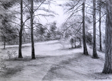 Drawing titled "Sormovsky park №2" by Yury Smirnov, Original Artwork, Graphite