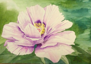 Malerei mit dem Titel "paeonie / Pfingstro…" von Stefan Dhein, Original-Kunstwerk, Aquarell