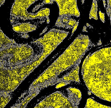 Fotografie getiteld "Wrought Iron 1d2a" door Ken Lerner, Origineel Kunstwerk, Digitale fotografie