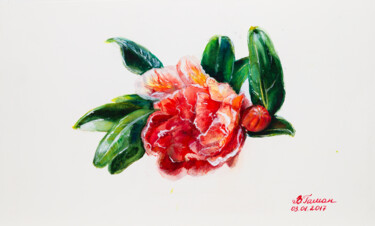 Delicate beautiful pomegranate flower. Salmon color. Schilderij getiteld "Delicate beautiful…" door Viktoriia Gaman, Origineel Kunstwerk, Aquarel