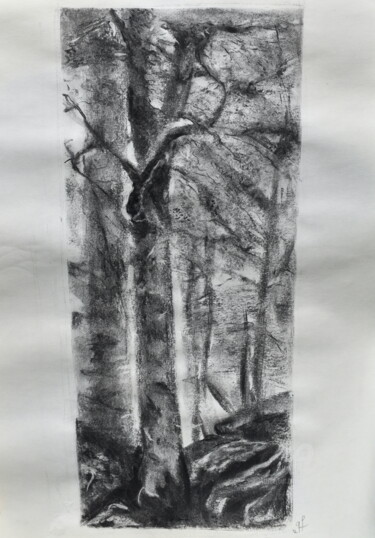 Drawing titled "Libre" by Geneviève Lamya Pous, Original Artwork, Charcoal