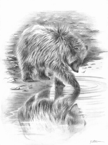 Dessin intitulée "Qui es-tu ? Ours br…" par Ghislaine Letourneur, Œuvre d'art originale, Crayon Monté sur Carton
