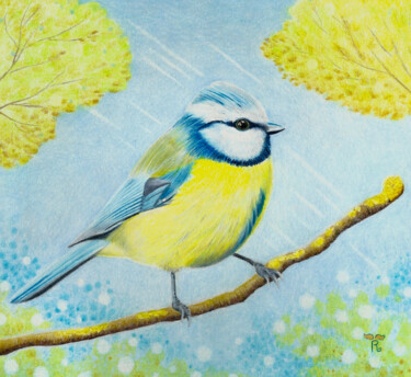 Mésange Bleue Dessin intitulée "Mésange Bleue" par Raphaëlle Barolo, Œuvre d'art originale, Crayon
