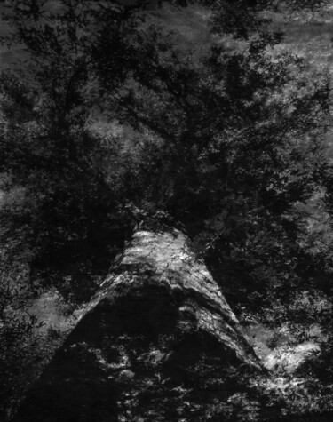 摄影 标题为“L'envol de l'Arbre.…” 由Philippe Berthier, 原创艺术品, 数码摄影