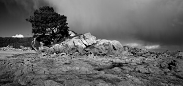 Carantec, l'île Callot noir et blanc. 제목이 "Carantec, l'île Cal…"인 사진 Thierry Martin로, 원작, 디지털