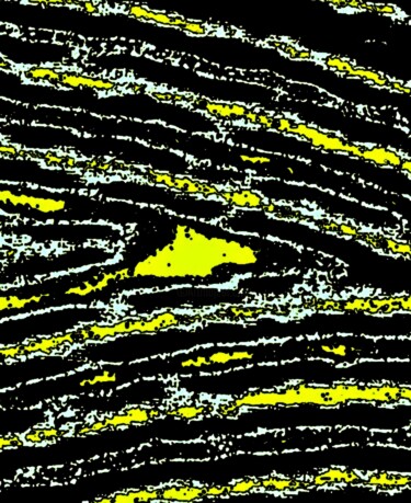 A Shark in a Swell in the Ocean on a Starry Night 100a7h 摄影 标题为“A Shark in a Swell…” 由Ken Lerner, 原创艺术品, 数码摄影