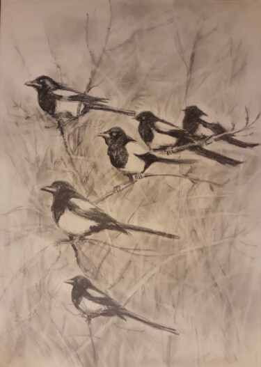 图画 标题为“A Flock of Magpies…” 由Animesh Roy, 原创艺术品, 木炭