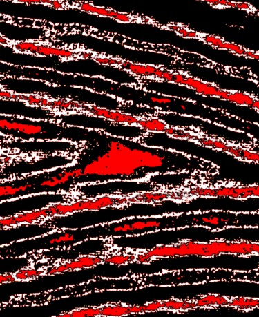 A Shark in a Swell in the Ocean on a Starry Night 100a7j 摄影 标题为“A Shark in a Swell…” 由Ken Lerner, 原创艺术品, 数码摄影