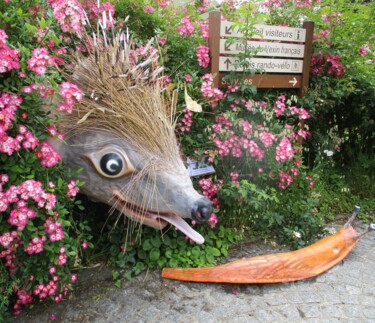 HÉRISSON à l'entrée Parc-Naturel Vexin-Français