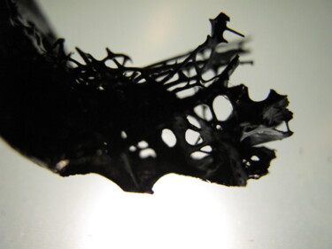 "Cancellous bone sha…" başlıklı Fotoğraf Serendipity Liche tarafından, Orijinal sanat, Dijital Fotoğrafçılık