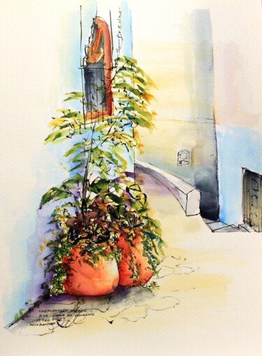 Pots de fleurs de Chefchaouen au Maroc Tekening getiteld "Pots de fleurs de C…" door René Blanchet, Origineel Kunstwerk, Inkt