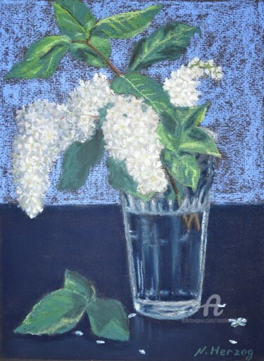 Die Vogelkirschblüten in der Vase 图画 标题为“Die Vogelkirschblüt…” 由Natalia Jelusic, 原创艺术品, 粉彩