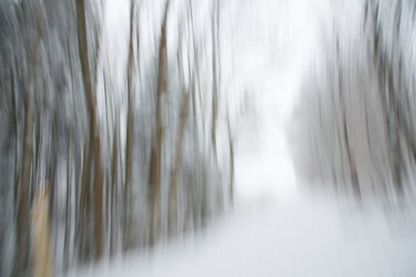 Photographie intitulée "Fantasmagorie" par Olive, Œuvre d'art originale, Photographie numérique