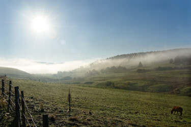Photographie intitulée "Petit matin" par Isabelle Cros, Œuvre d'art originale, Photographie numérique