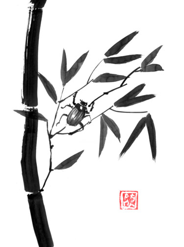 Tekening getiteld "bamboo and beetle" door Péchane, Origineel Kunstwerk, Aquarel