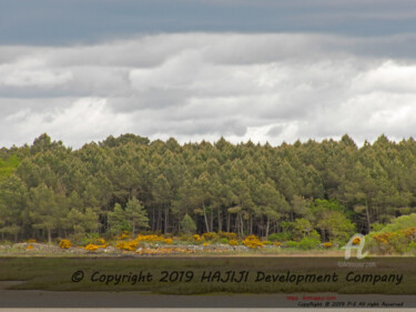 Photographie intitulée "HDR nat landscape m…" par Cédric Hajiji, Œuvre d'art originale, Photographie numérique