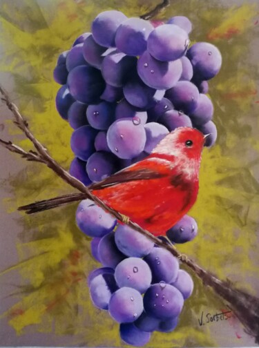 Peinture intitulée "Roselin" par Valerie Sorbets, Œuvre d'art originale, Pastel
