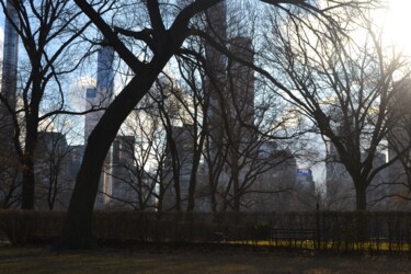 Photography titled "Central Park 19" by Nana Plamadeala-Kiritchenko, Original Artwork, Non Manipulated Photography