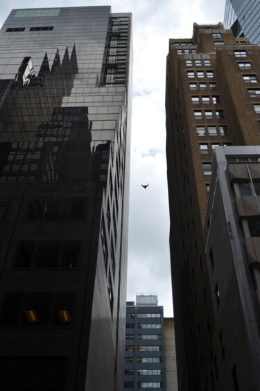 Photographie intitulée "New York 49" par Nana Plamadeala-Kiritchenko, Œuvre d'art originale, Photographie non manipulée