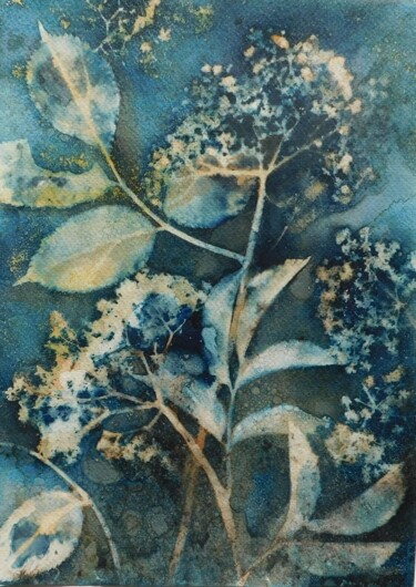 印花与版画 标题为“21 x 30_VEGETAL 16” 由Cornelia Tersanszki, 原创艺术品, 光绘摄影 安装在纸板上