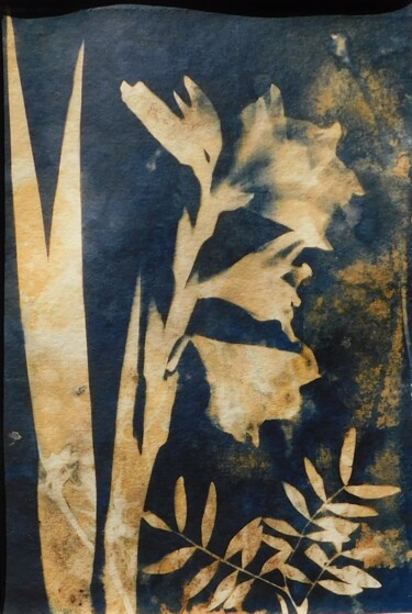 印花与版画 标题为“21 x 30_VEGETAL 31” 由Cornelia Tersanszki, 原创艺术品, 光绘摄影 安装在纸板上
