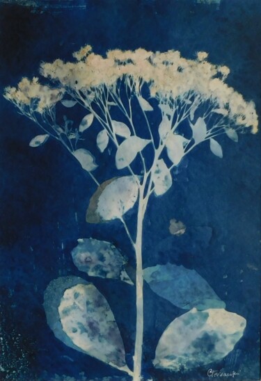 印花与版画 标题为“21 x 30_VEGETAL 52” 由Cornelia Tersanszki, 原创艺术品, 光绘摄影 安装在纸板上