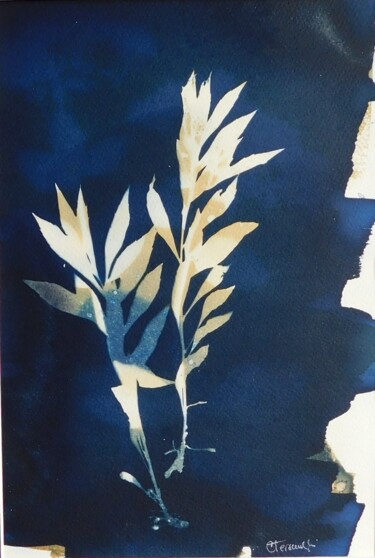 印花与版画 标题为“21 x 30_VEGETAL 44” 由Cornelia Tersanszki, 原创艺术品, 光绘摄影 安装在纸板上