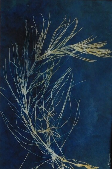 印花与版画 标题为“21 x 30_VEGETAL 48” 由Cornelia Tersanszki, 原创艺术品, 光绘摄影 安装在纸板上