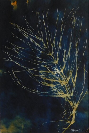 印花与版画 标题为“21 x 30_VEGETAL 49” 由Cornelia Tersanszki, 原创艺术品, 光绘摄影 安装在纸板上
